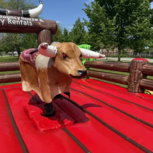 A Mechanical Bull named Nacho