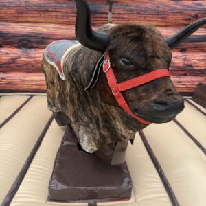 Mechanical Bull "Little Coco"