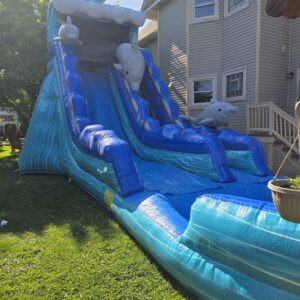 20 Ft Dolphin Waterslide