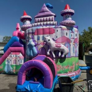 Princess Castle Combo