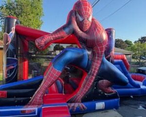 Spiderman Combo